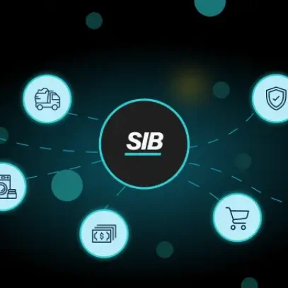 SIB_Explained